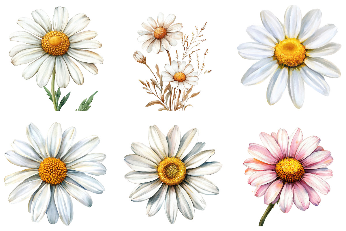 Daisy Flower Bloom Clipart, an Illustration by DreamArtGraphic (Photo 4 of 4)