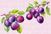Plums Watercolor Clipart, a Food Illustration by LekoArt (Thumbnail 5 of 10)