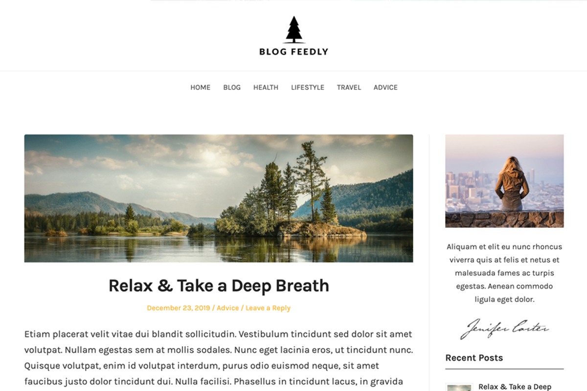 Blog Feedly Premium, a WordPress Template by SuperbThemes