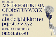 against font, a Serif Font by 177Studio (Thumbnail 6 of 6)