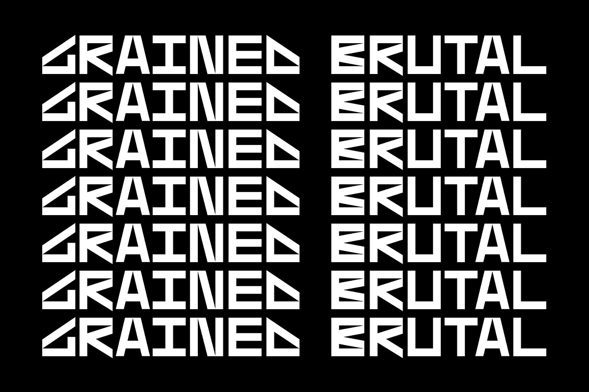 Grained Brutal, a Sans Serif Font by Here  FF (Photo 16 of 16)