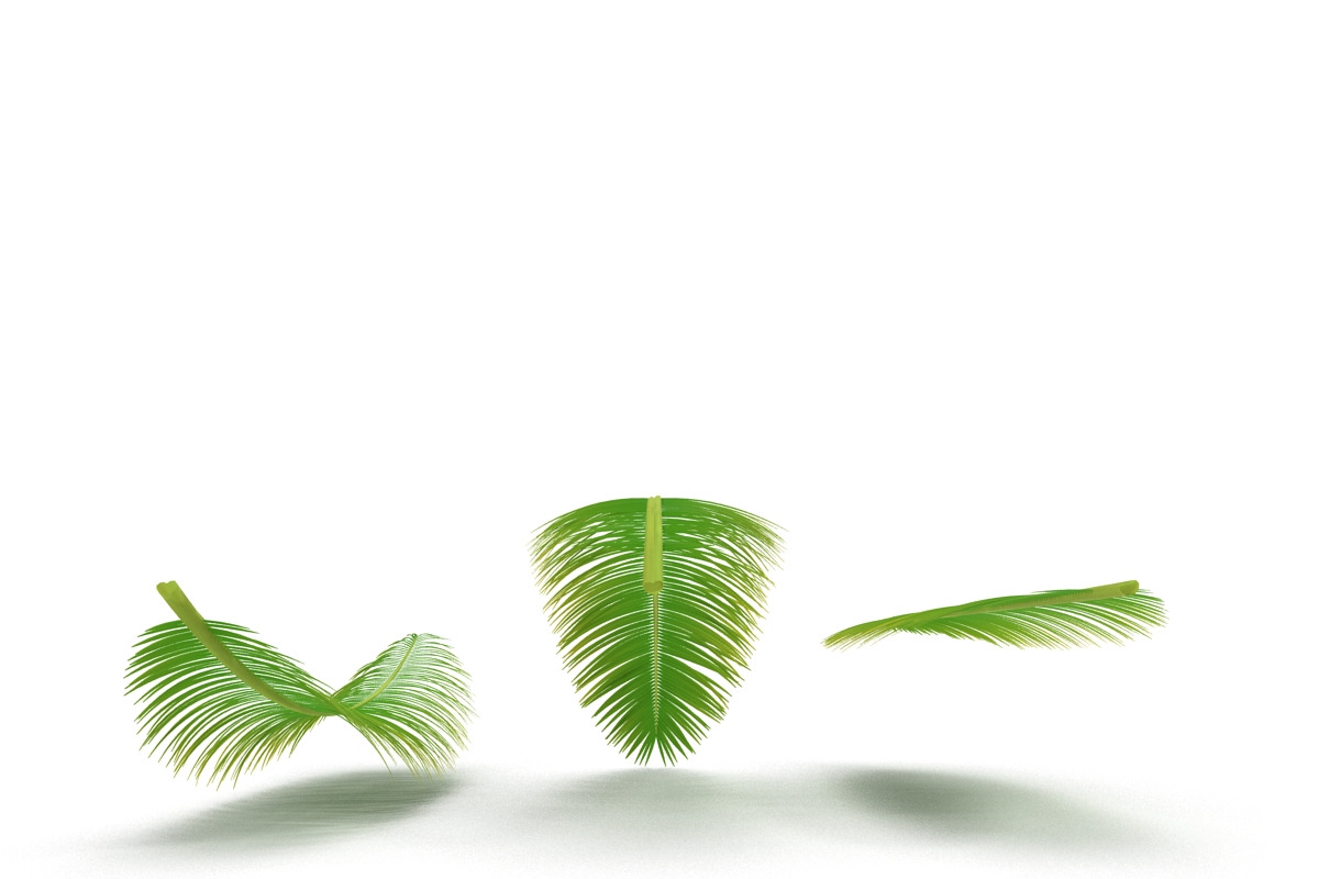 Palm branch, an Environmental 3D Model by AndrewWhite (Photo 5 of 10)