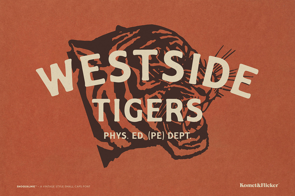Snoqualmie - A Vintage Style Font, a Serif Font by Komet & Flicker (Photo 10 of 15)