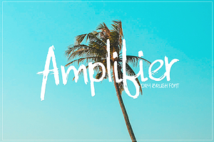 Amplifier