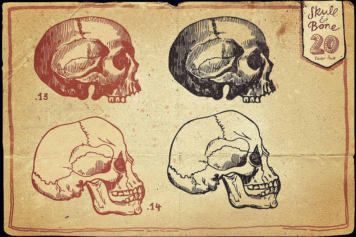 Vintage Skull and Bone Vector pack, an Illustration by Itsmesimon (Photo 8 of 11)