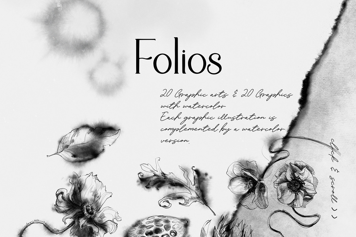 Folios. Botanical illustrations, an Object Illustration by Colden Blue (Photo 3 of 13)