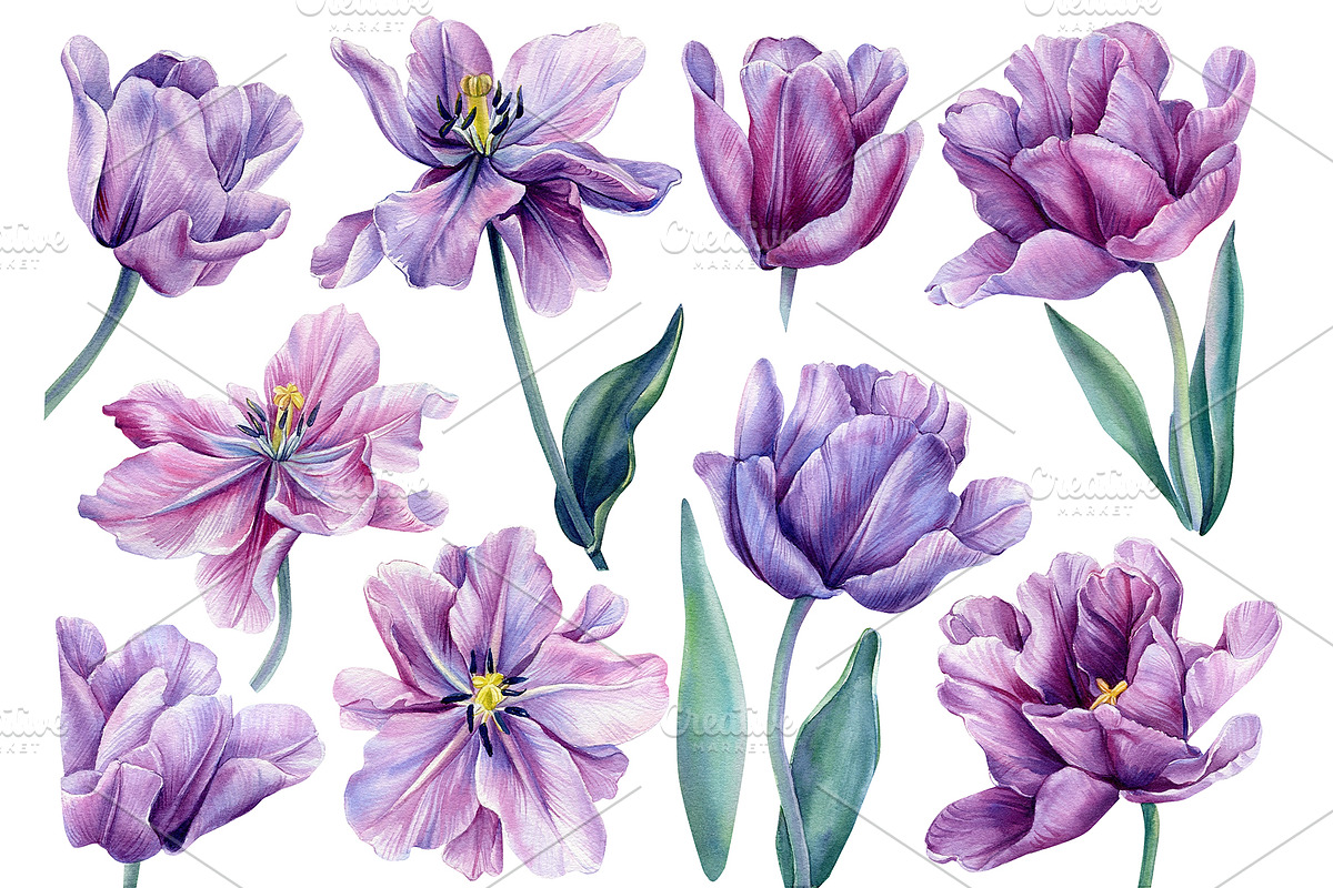 Floral painting spring bouquet, an Illustration by Hanna Hryharenka (Photo 10 of 14)
