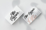 Collaborn - Modern Brush Fonts, a Script Font by SemutHitam Creative (Thumbnail 3 of 7)