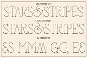 The Modern Font Bundle Vol.5 80% OFF, a Sans Serif Font by Tropical Type (Thumbnail 38 of 43)
