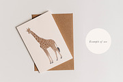 Zebra & Giraffe Illustrations - PNGs, an Animal Illustration by LaurenFittonIllustration (Thumbnail 5 of 9)