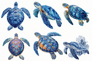 watercolor sea turtle clipart, an Illustration by Designworld (Thumbnail 5 of 8)