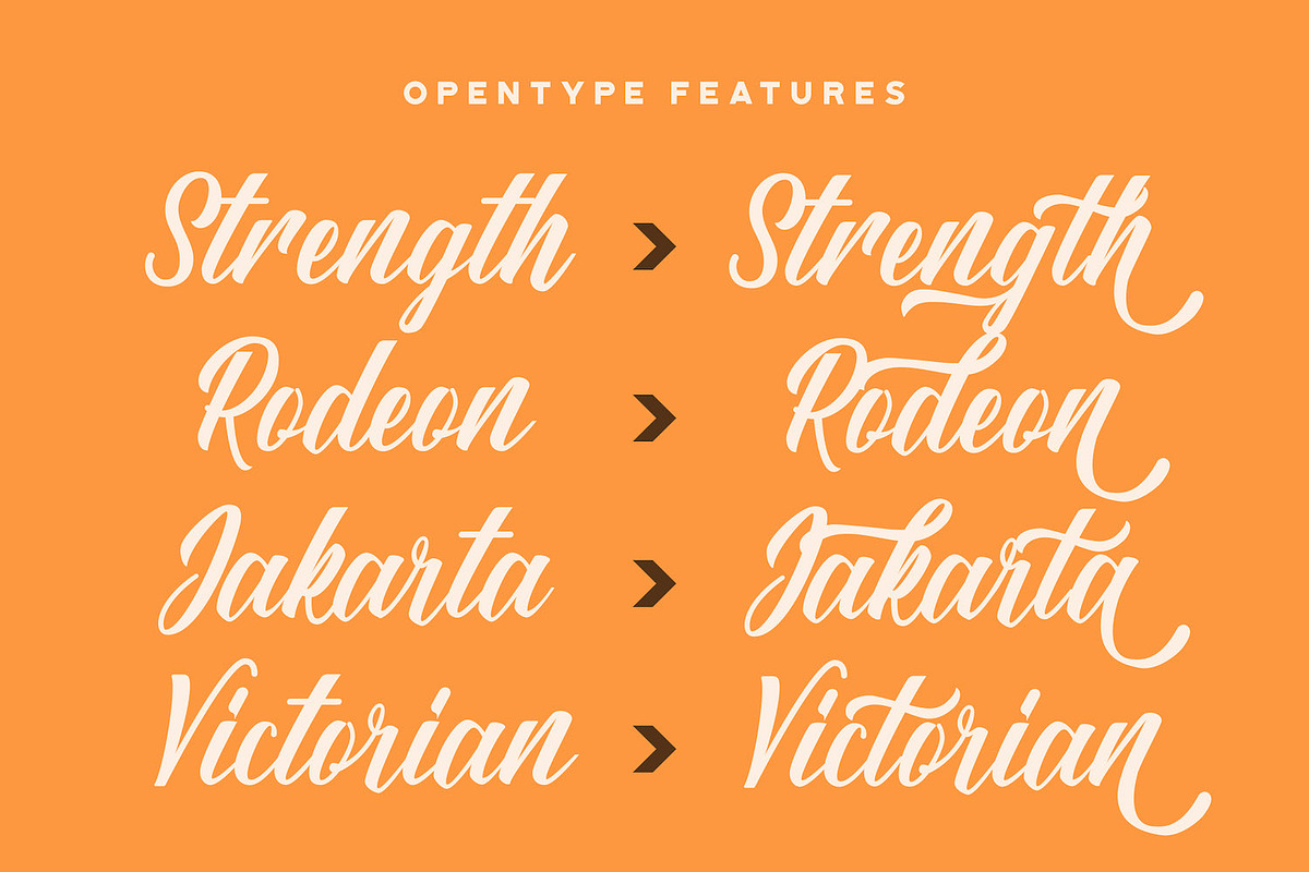 Sang Ratu - Vintage Script Font, a Script Font by StringLabs (Photo 2 of 11)