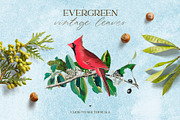 Magic Woodland vintage modern set, an Animal Illustration by Beauty Drops (Thumbnail 4 of 9)