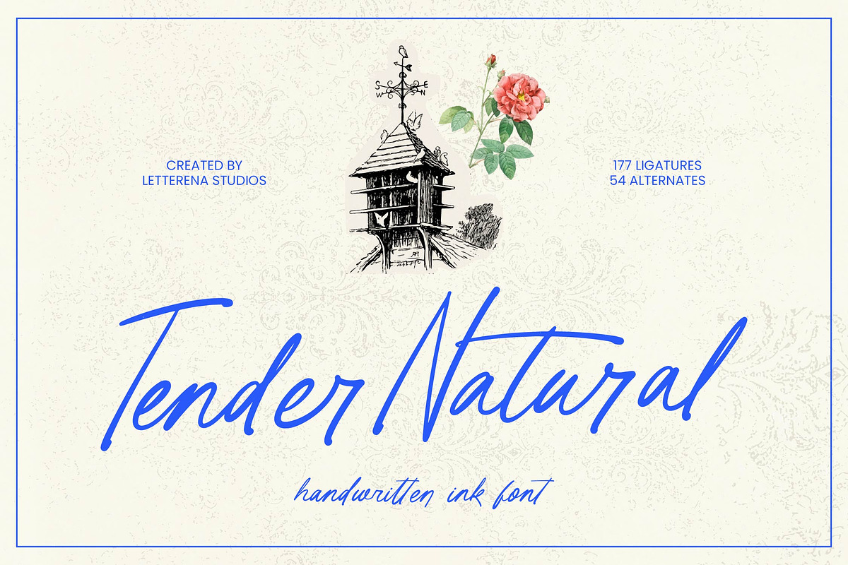Tender Natural Handwritten Ink Font, a Script Font by Letterena Studios Script (Photo 1 of 10)