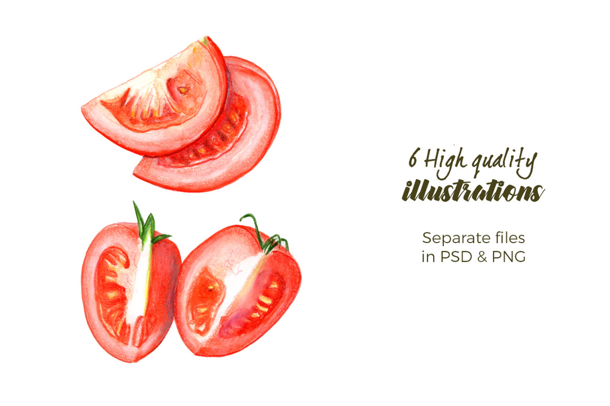 Whole & Sliced Tomates | 6 Clip-arts, a Food Illustration by Miriam Figueras (Photo 2 of 3)