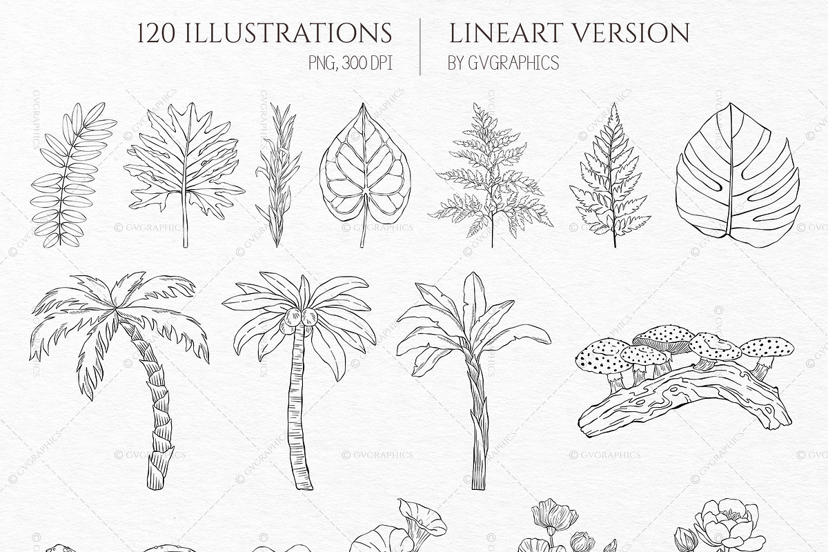 Into the Wild Collection, an Animal Illustration by GVGraphics (Photo 7 of 24)