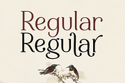 Caesur, a Serif Font by Sulthan Studio (Thumbnail 5 of 7)