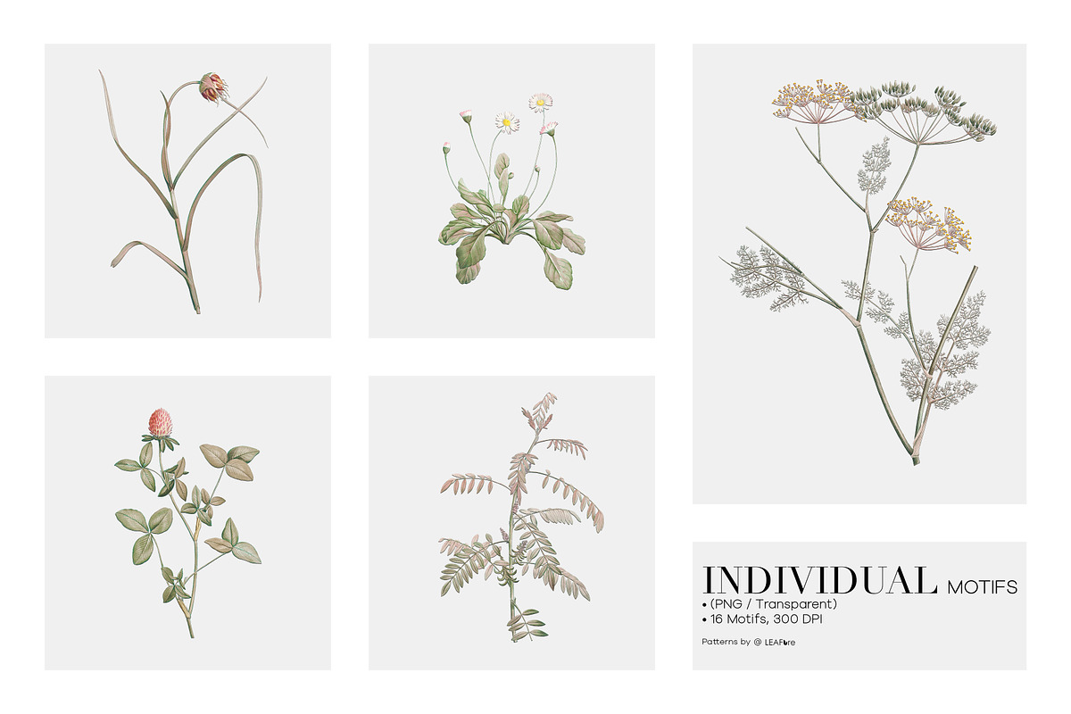 Meadow Bounty Botanical Prints, a Pattern Graphic by LEAFure (Photo 6 of 8)