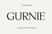Gurnie Serif Fonts, a Serif Font by Yukita Creative (Thumbnail 1 of 10)
