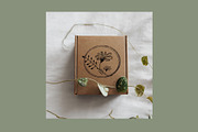 100 Floral Stamp brushes, an Illustration by Olga Brinza (Thumbnail 6 of 11)