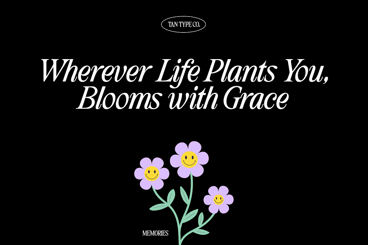 TAN - MEMORIES, a Serif Font by TanType (Photo 6 of 11)