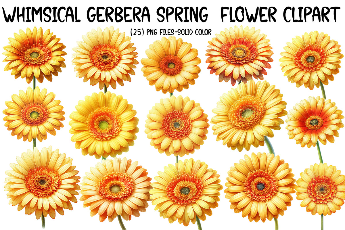 Whimsical gerbera spring Flower, an Illustration by Designworld (Photo 1 of 5)