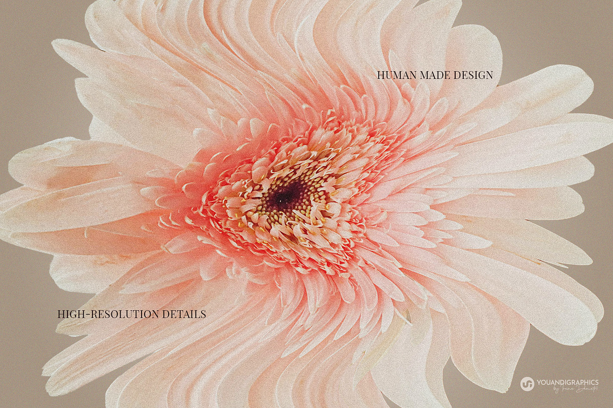 Modern Renaissance Florals, a Graphic by Youandigraphics (Photo 4 of 13)