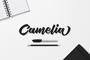 Sinisuka Logo Font, a Script Font by Typia Nesia (Thumbnail 3 of 8)