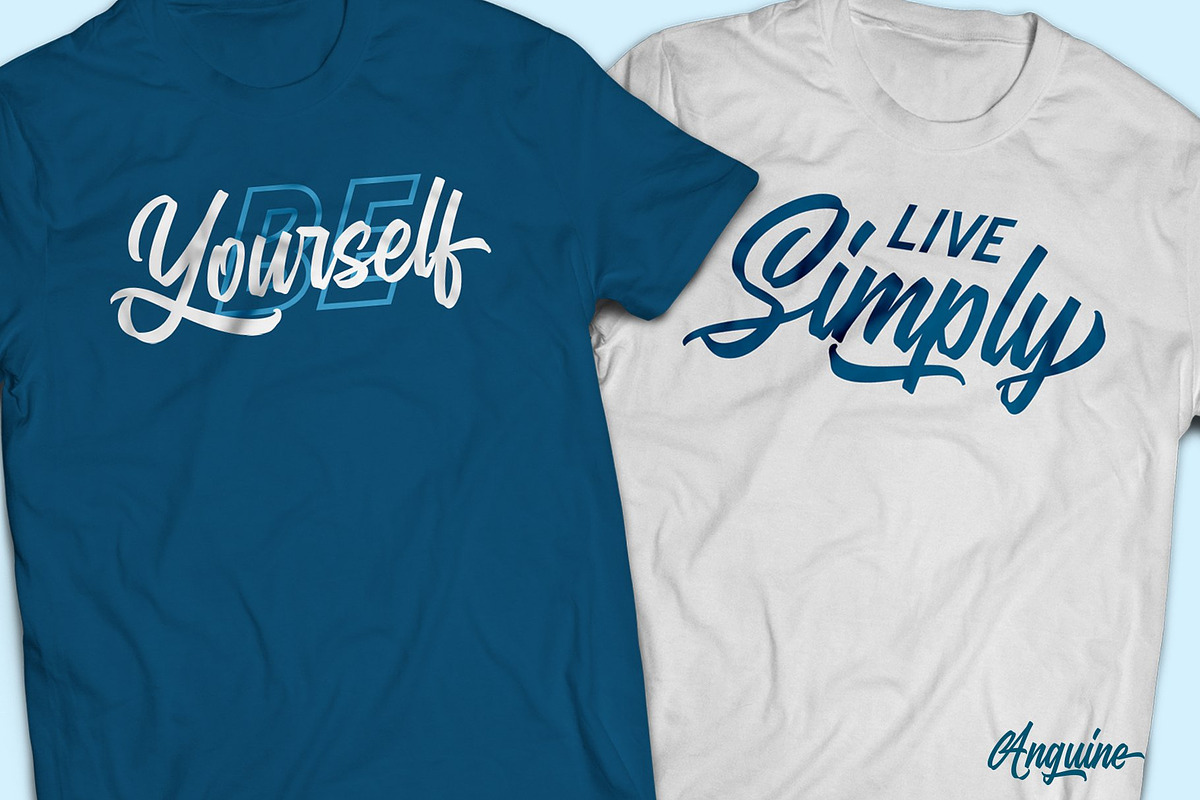 Anguine - Stylish Typeface, a Script Font by GearShift (Photo 12 of 14)