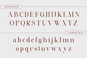 DANZA - Modern Typface Serif, a Serif Font by AnnofaType (Thumbnail 6 of 8)