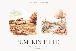 Pumpkin Field