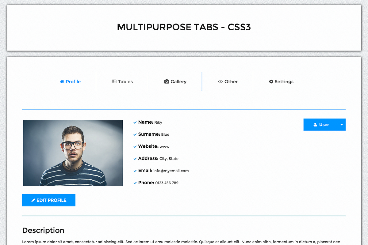 Multipurpose Tabs - CSS3, a Websites & App Template by Riccardo Borchi