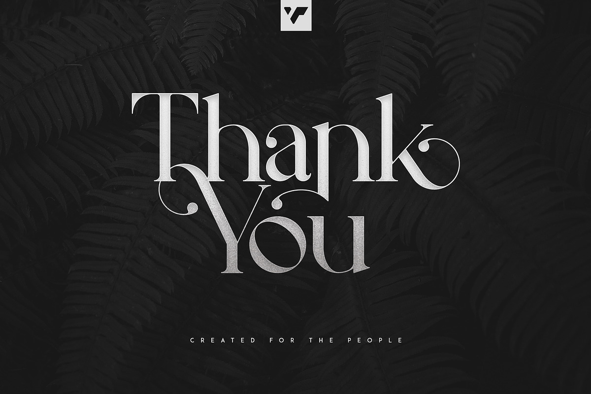 Silver Queen - Serif Typeface, a Serif Font by VP Fonts (Photo 12 of 12)
