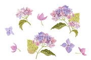 Watercolor  flowers of hydrangea, a Card Template by Nejumi (Thumbnail 2 of 5)