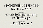 Basurist - Unique Modern Serif Bold, a Serif Font by Nokturnal13 (Thumbnail 4 of 14)