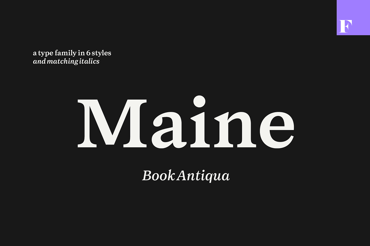Maine -Book Antiqua Family, a Serif Font by Fenotype (Photo 1 of 11)