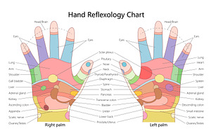 Hand Reflexology Chart with Pressure, a Healthcare Illustration by AlexArt