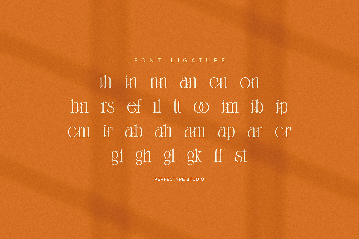 Menna Elegant Modern Serif Font, a Serif Font by Perfectype (Photo 8 of 8)