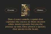 CS Vilma – Uncial Font, a Serif Font by Craft Supply Co. (Thumbnail 2 of 8)