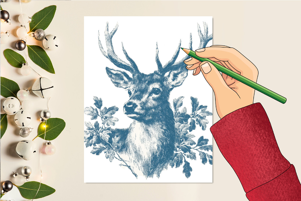 Vintage Clipart Botanical Sketches, an Illustration by DreamCafeArt (Photo 5 of 6)
