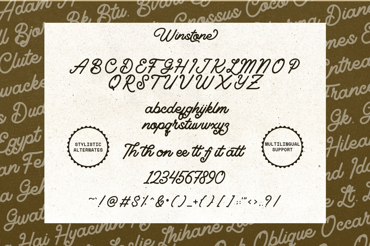 Winstone - Elegant Script Font, a Script Font by dealitastudio (Photo 7 of 9)