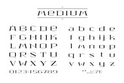 MONA LISA Serif Font Family, a Serif Font by Darth Vector (Thumbnail 9 of 16)
