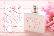 Pertysh Tulipita Stylish Calligraphy, a Script Font by stylishtype.co (Thumbnail 9 of 20)