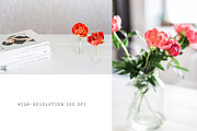 SUPER SALE! Styled Lifestyle Photos, a Business Photo by Nellaino (Thumbnail 7 of 7)
