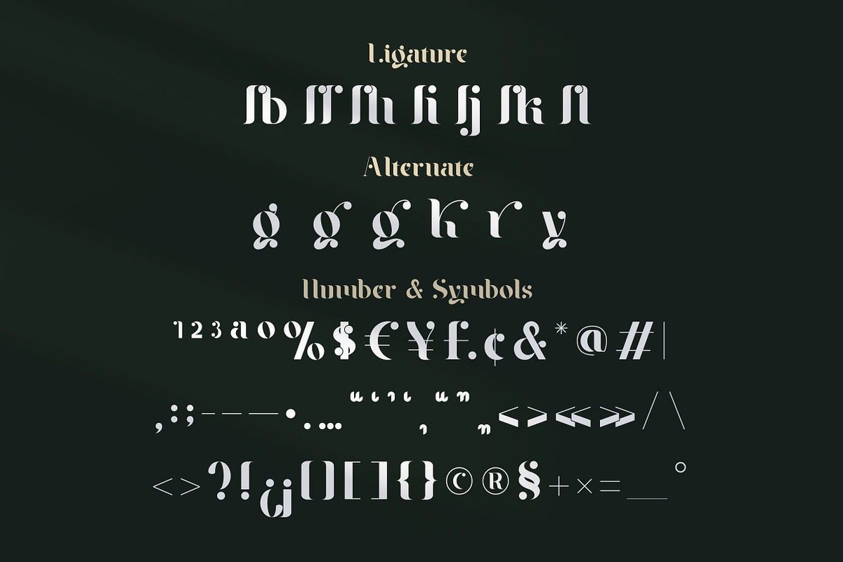 Braga Serif - Classic & Modern, a Serif Font by Lettertype Studio (Photo 9 of 10)