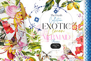 The Exotic Lemon Collection, an Object Illustration by Alisa Mikibith Art (Thumbnail 1 of 18)