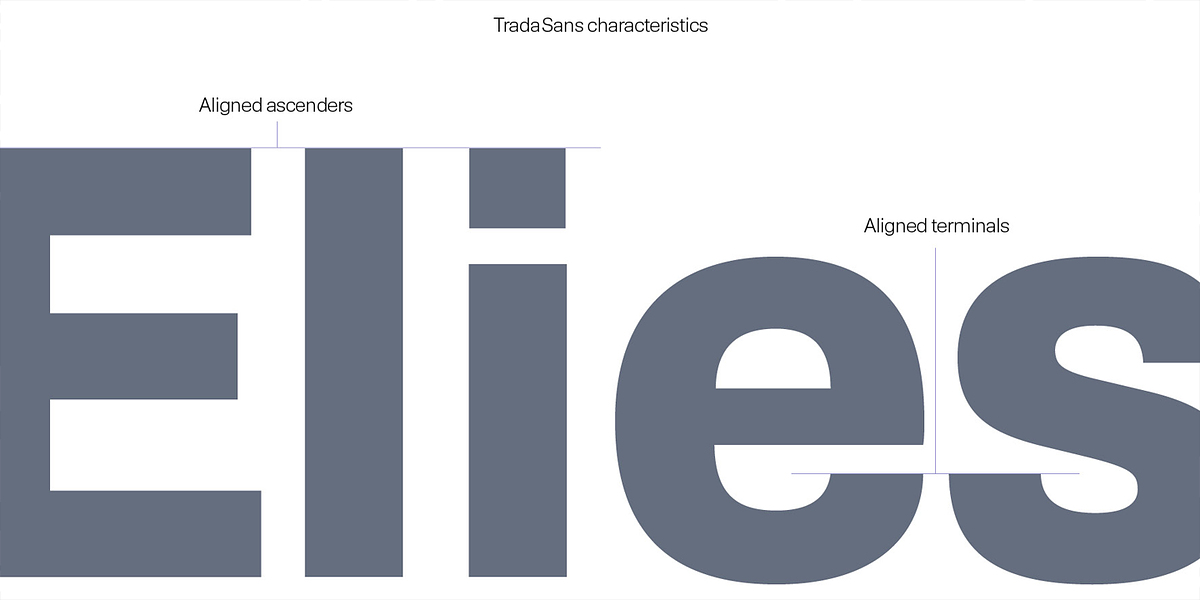 Trada Sans, a Sans Serif Font by Hoftype (Photo 8 of 14)