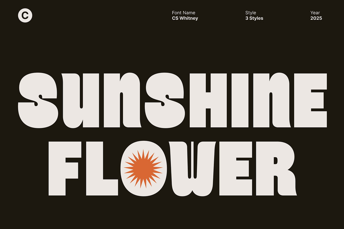 CS Whitney – Chunky Display Font, a Sans Serif Font by Craft Supply Co. (Photo 3 of 8)