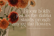 The Simple Elegant Serif Font, a Serif Font by Perfectype (Thumbnail 4 of 8)