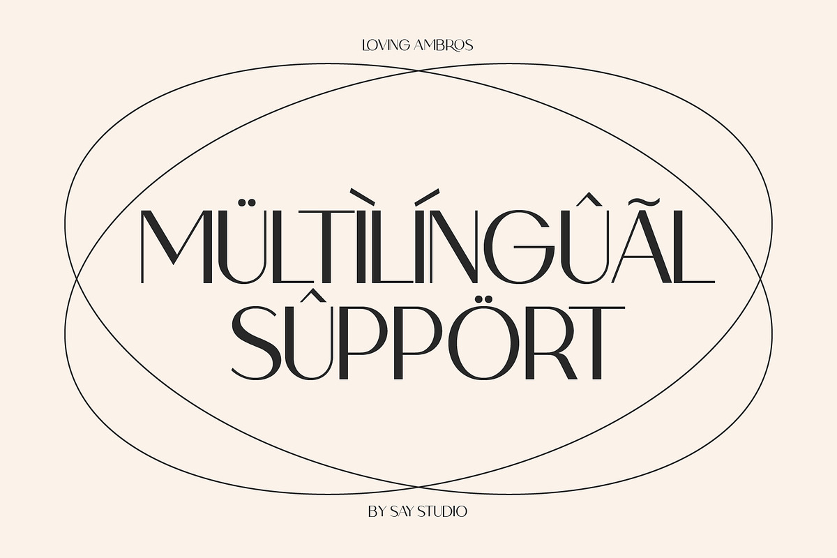 Loving Ambros, a Sans Serif Font by Say Studio (Photo 15 of 15)